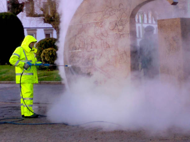 Best Local Pressure Washing Services  in USA